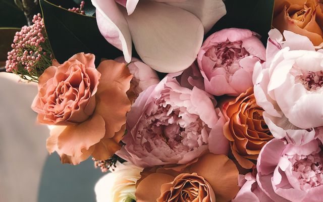 Bloom & Stem Florist post